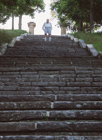 bellevue-hill-steps-wide