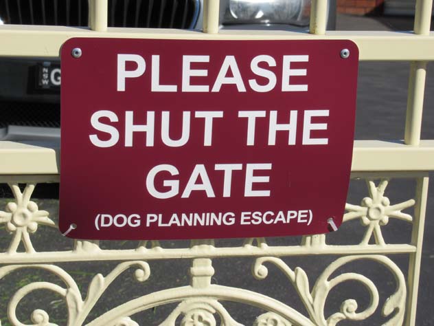 blacktown-sign-escaping-dog-usg.jpg