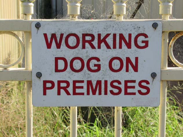 blacktown-sign-working-dog-usg.jpg