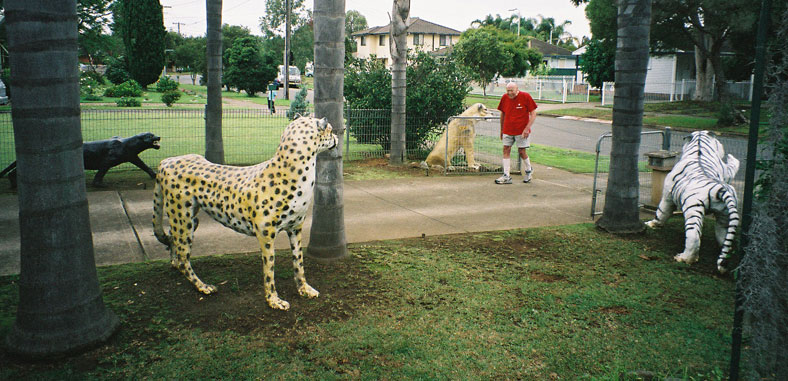 cartwright-garden-cheetah-lion-tiger-xg.jpg
