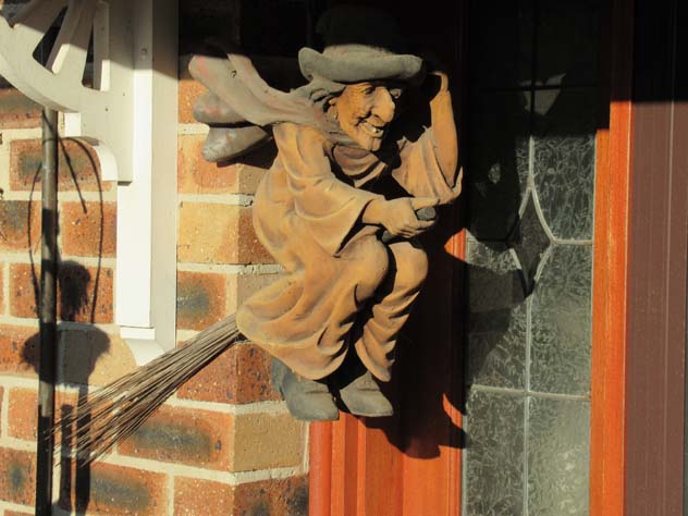 cherrybrook-sculptures-witch-broom-usc.jpg