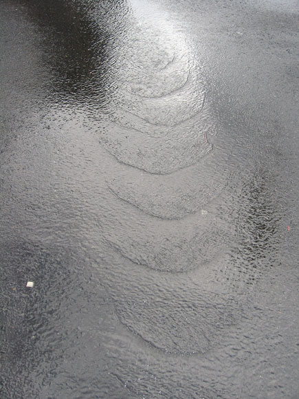 dulwich-hill-water-ripples-xw.jpg