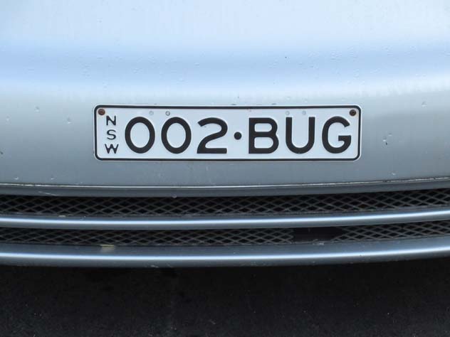 engadine-car-number-plate-bug-uv.jpg