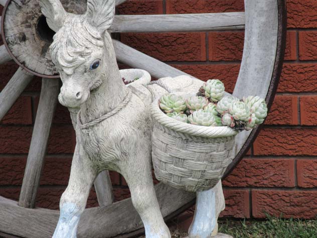 engadine-sculpture-donkey-usc.jpg