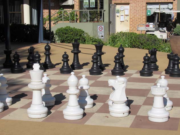 galston-chess-pieces-n.jpg