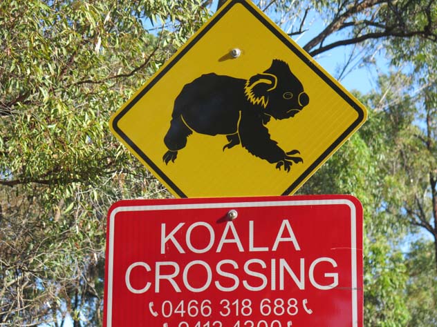 kentlyn-sign-koala-suburb-usg.jpg