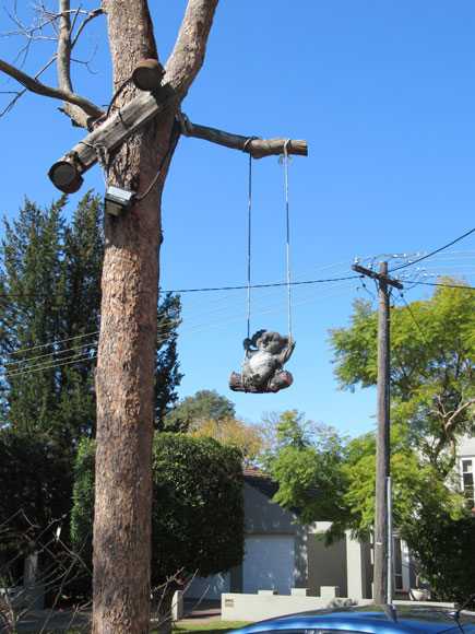 lane-cove-sculpture-koala-playtime-1-usc.jpg