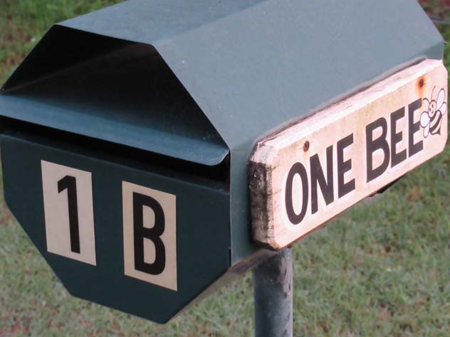 londonderry-mailbox-one-bee-2-um.jpg