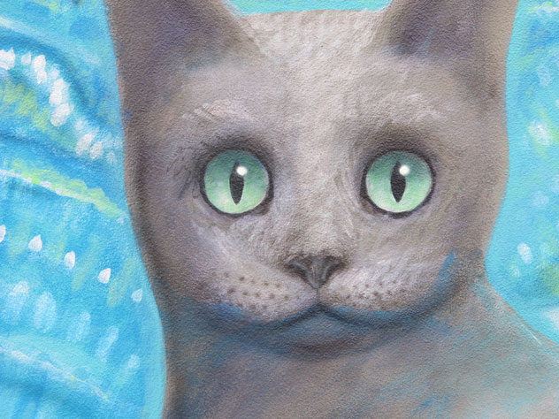 narraweena-paintings-vet-cat-stare-2-up.jpg