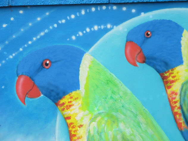narraweena-paintings-vet-cockatoos-up.jpg