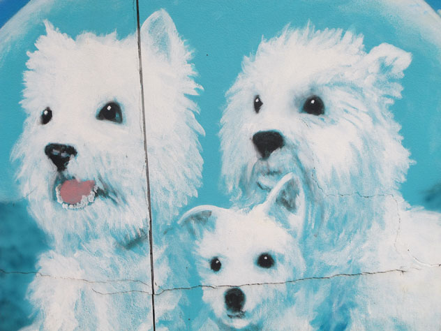 narraweena-paintings-vet-terriers-up.jpg