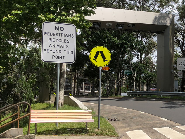 north-sydney-failure-no-animals-bicycles.jpg