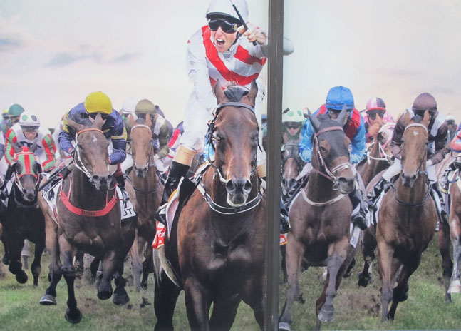 north-sydney-horse-race-1-up.jpg