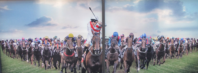 north-sydney-horse-race-2-up.jpg