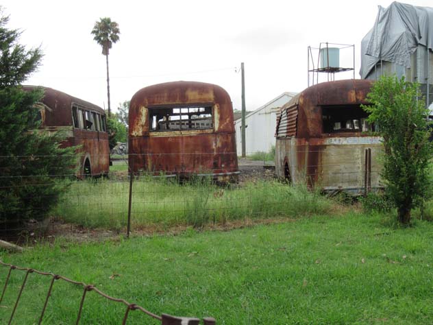 rossmore-decayed-buses-1-uv.jpg