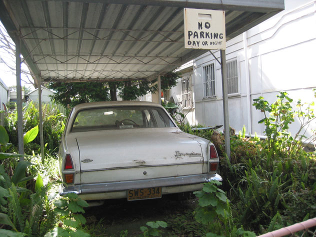 rozelle-car-parking-in-shrubs-uv.jpg