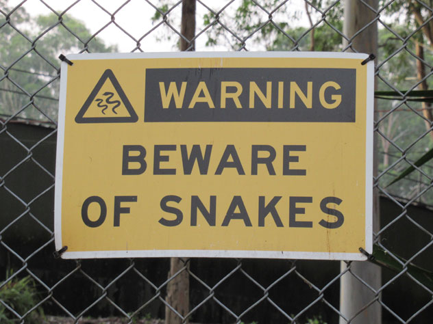 st-ives-sign-beware-snakes-usg.jpg