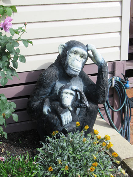 stanhope-gardens-sculpture-monkeys-usc.jpg