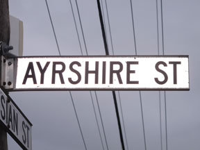street-themes-cattle-breeds-ayrshire-kctl.jpg