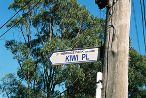 street-themes-pacific-kiwi-kpfc.jpg