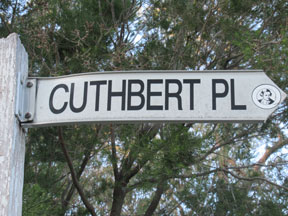 street-themes-sport-running-cuthbert-kspt.jpg