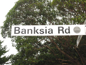 street-themes-street-names-b-banksia-kstb.jpg
