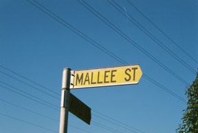 street-themes-trees-mallee-ktre.jpg