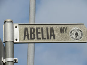 street-themes-ways-abelia-wy-kway.jpg