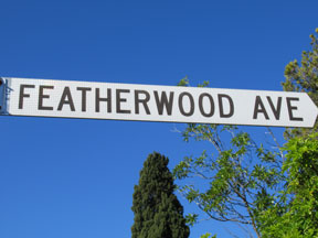street-themes-wood-featherwood-kwod.jpg