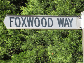 street-themes-wood-foxwood-kwod.jpg