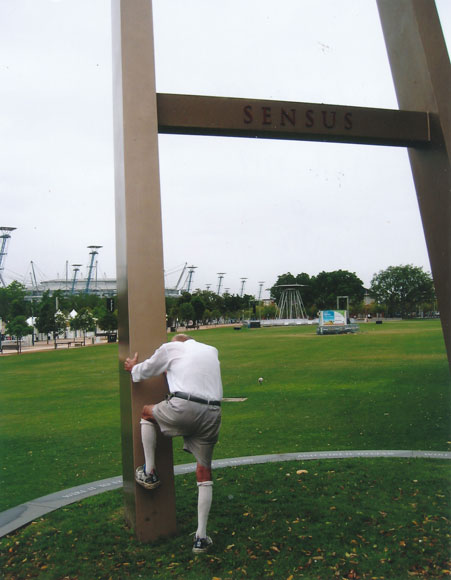 sydney-olympic-park-ladder-tall-close-up-w.jpg