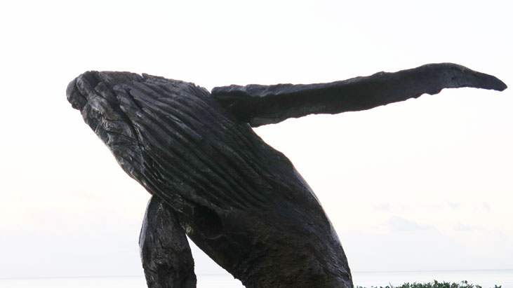 tamarama-sculpture-14-whale-breaching-usc.jpg