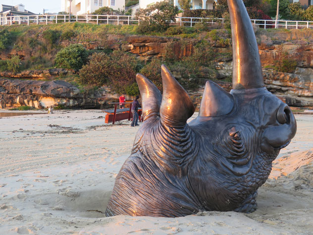 tamarama-sculpture-16-rhino-on-beach-1-usc.jpg