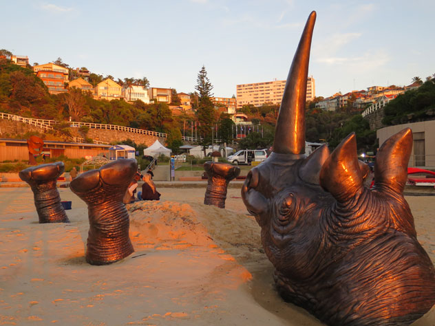 tamarama-sculpture-16-rhino-on-beach-2-usc.jpg