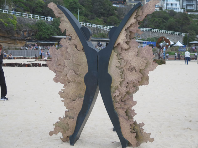 tamarama-sculpture-18-butterfly-usc.jpg