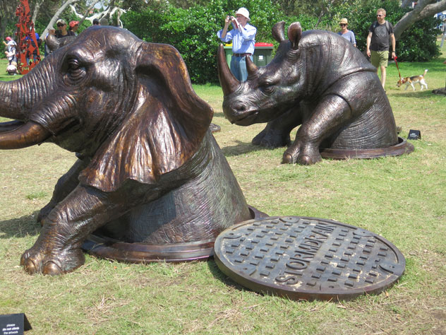 tamarama-sculpture-18-rhinos-1-usc.jpg