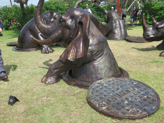 tamarama-sculpture-18-rhinos-2-usc.jpg