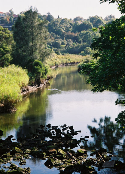 turrella-wolli-creek-s.jpg