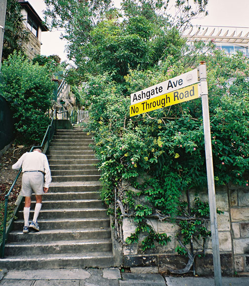 vaucluse-street-steps
