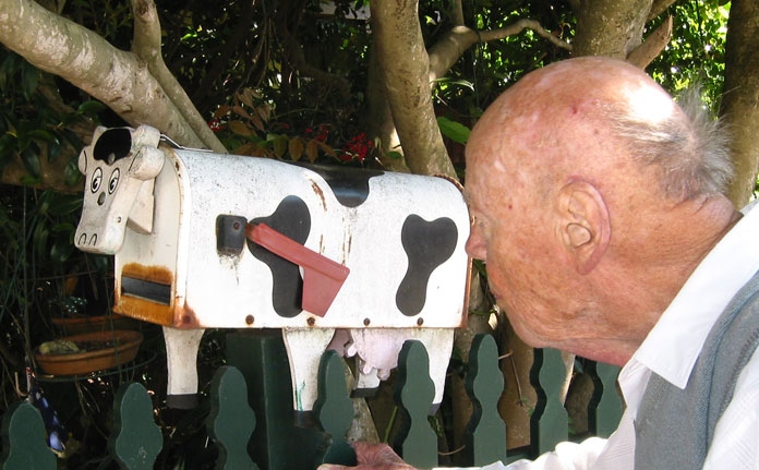 balmain-mailbox-cow-um.jpg