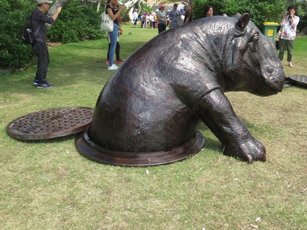tamarama-sculpture-18-rhinos-3-usc.jpg